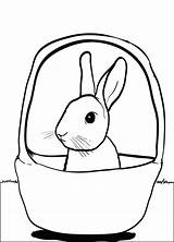 Bunny Basket Coloring Rabbit Pages Easter Colouring Sitting Cute Kids Printable Little Baskets Choose Board sketch template