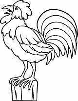 Rooster Coloring Printable Pages Popular sketch template