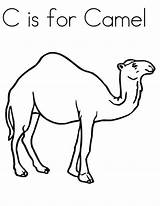Camel Coloring Pages Kids Preschool Colouring Kindergarten Print Printable Drawing Animals Students Craft Camels Line Preschoolcrafts Color Cute Getdrawings Getcolorings sketch template