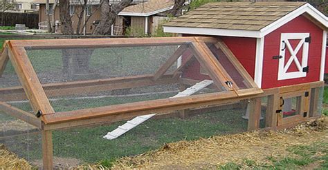build  simple  awesome backyard chicken coop