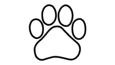 paw print outline    clipartmag