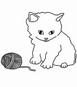 Kittens Momjunction Pets Accompany статьи sketch template