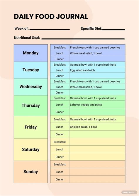 daily food journal nutrition chart  illustrator