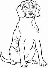 Beagle sketch template