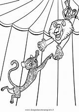 Madagascar Coloring Pages Afro Circus Template sketch template