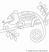 Chameleon Coloring sketch template