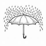 Pioggia Umbrella Illustrazione Ombrello Ombrelli Schizzo sketch template