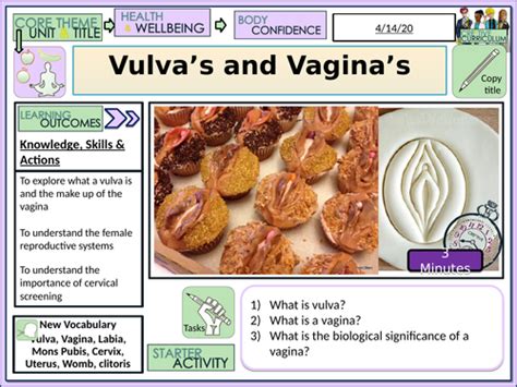 Vagina Vs Vulva Female Anatomy Pshe Teaching Resources