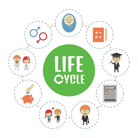 life cycle icon  vector art  vecteezy