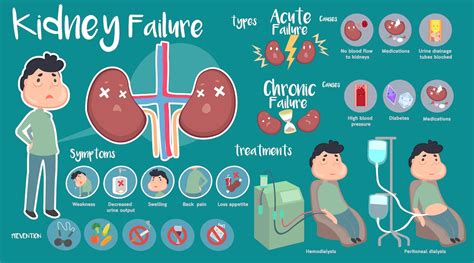 exploring protein energy wasting  chronic kidney disease