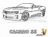 Coloring Chevrolet Camaro Pages Car Chevy Printable Porsche Corvette Camero Box Cars Gusto Color Print Sheets Library Clipart Popular Ages sketch template