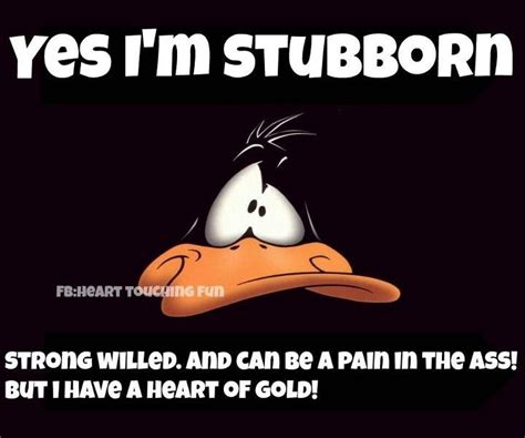 images  daffy duck quotes  pinterest lol funny looney