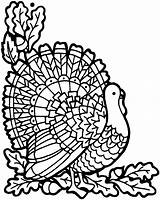 Coloring Turkey Pages Thanksgiving November Printable Pdf Adults Kids Color Sheets Print Adult Printables Getcolorings Advanced Printouts Getdrawings Wildlife Tureky sketch template