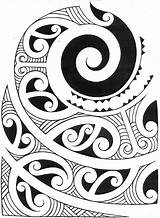 Maori Patterns Polynesian Tatouage Typical Mandala Koru Coquillage Tatoo Tiki sketch template