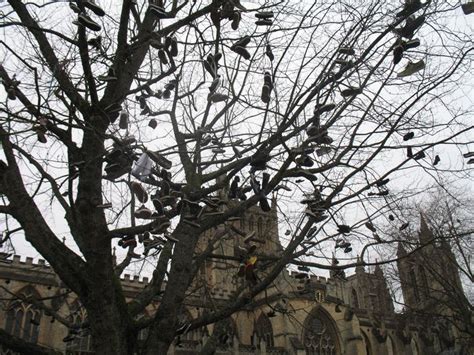 schoenen hangen aan de veters  deze boom bij de kathedraal een