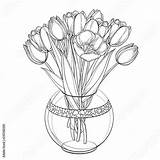 Tulip Outline Tulips Bud Transparency Bunch 1731 Contour sketch template
