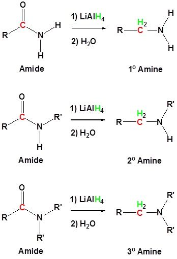 conversion  amides  amines  lialh chemistry libretexts