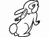 Dxf  Rabbit 3axis sketch template
