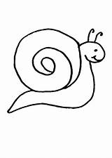 Escargot Coloriage Dessin Petit Hugolescargot Un Animaux Coloring Depuis Enregistrée Parfait Le Escargots Pour Enfant sketch template