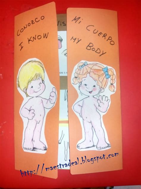 Maestradeal Lapbook El Cuerpo Humano