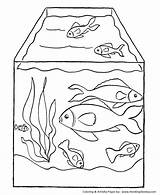 Coloring Fish Pet Pages Tank Pets Honkingdonkey Printable Cat sketch template