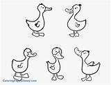 Ducks Little Duck Coloring Five Pages Clipart Drawing Wood Baby Duckling Kids Printable Color Print Ducklings Para Colorear Patos Getdrawings sketch template
