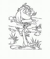 Timon Coloring Pumbaa Pages Colorear Para Pumba Lion King A2de Bath Take Printable Popular Coloringhome Library Clipart Comments sketch template