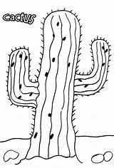 Kaktus Ausmalbilder Cool2bkids Imprimir Druckbare Lovesmag sketch template