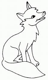 Fuchs Ausmalbilder Malvorlagen Howling Raposa Puppy Drawing Nimbus Bulkcolor Tod Coyotes Colornimbus sketch template