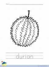 Durian Coloring Worksheet Worksheets Fruit sketch template