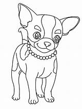 Chihuahua Beverly Hills Coloring Pages Choose Board sketch template