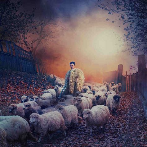 leading  sheep pondly