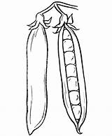 Pod Pea Clipart Coloring Pages Clip Peas Printable Library Vegetables sketch template