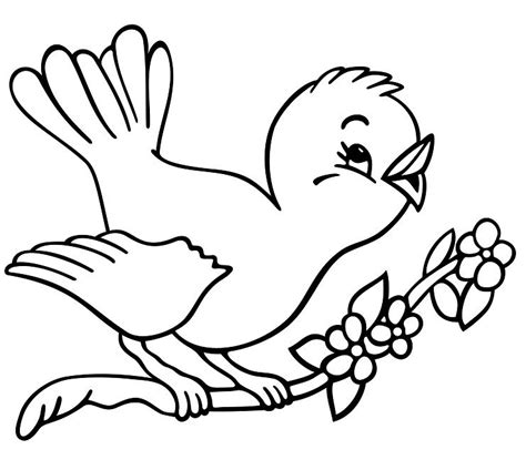 birds coloring pages coloring print