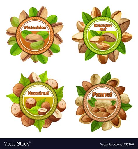 colorful nuts labels set royalty  vector image