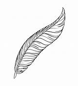 Feather Line Drawing Drawings Domain Public Coloring Publicdomainpictures Paintingvalley sketch template