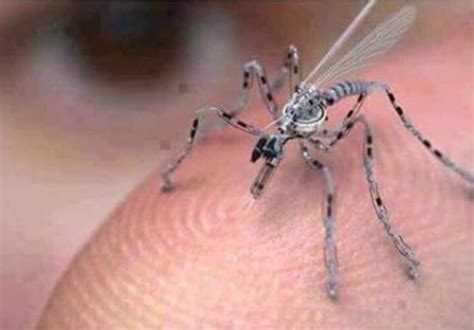 satans secrets insect spy drone  urban areas christ  time