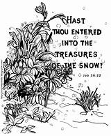 Snow Treasures Entered Into Bible Job Thou Hast Coloring sketch template