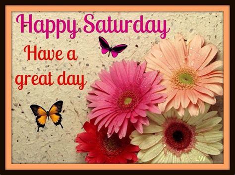 happy saturday   great day pictures   images