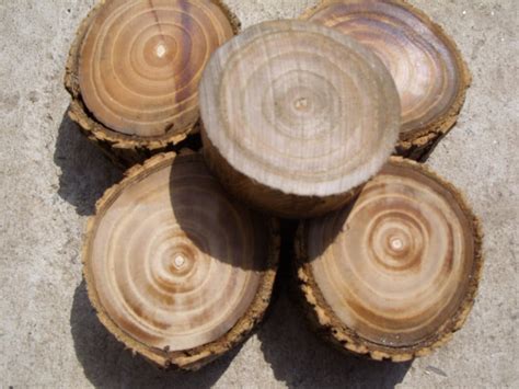 wood blocksdiy crafts wood pieces miniature tree stump