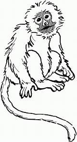 Spider Monkey Coloring Pages Man Cartoon Printable Iron Getcolorings Maya Angelou Drawing Pencil Getdrawings Print Awesome sketch template