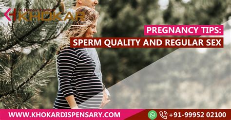 pregnancy tips sperm quality and regular sex health tips
