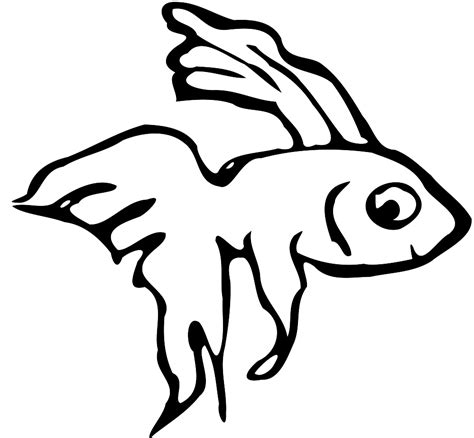 betta fish coloring pages  coloring pages  kids