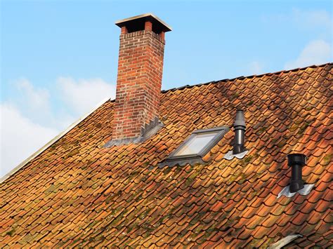 repair  replacement     repair  replace  roof  daily review