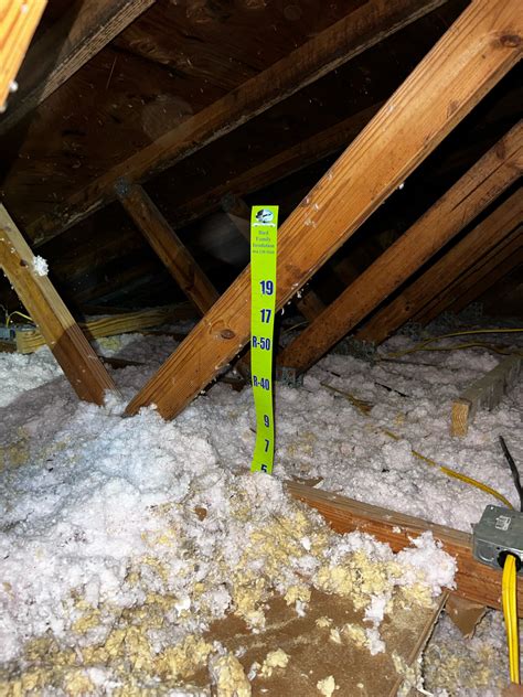 airsealing  attic floor   important bird family insulation
