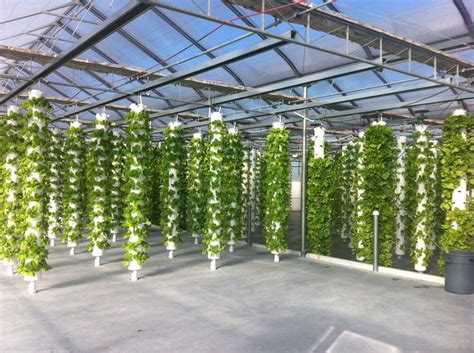 photo gallery aeroponics growing aquaponics system