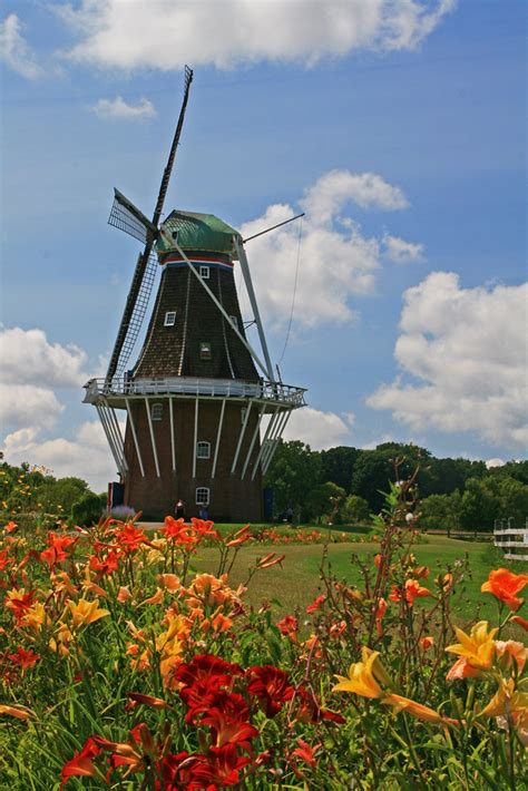 de zwaan   year  dutch working wind mill  loca flickr