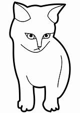 Cat Outline Coloring Kitten Clipart Pages Printable Face Template Drawing Sitting Clip Kitty Nose Kids Cliparts Coloring4free Color Easy Simple sketch template