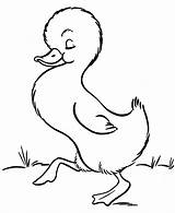 Ducky Lucky Diposting sketch template