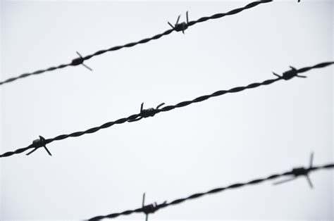 barbed wire image clipart